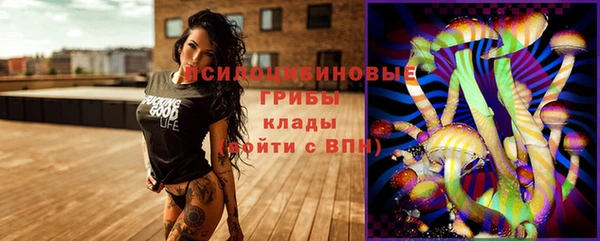 мдпв Нефтегорск