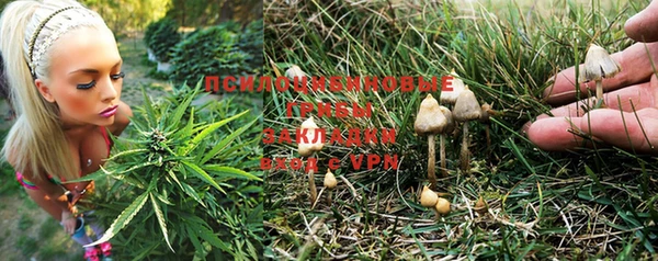 2c-b Новокубанск