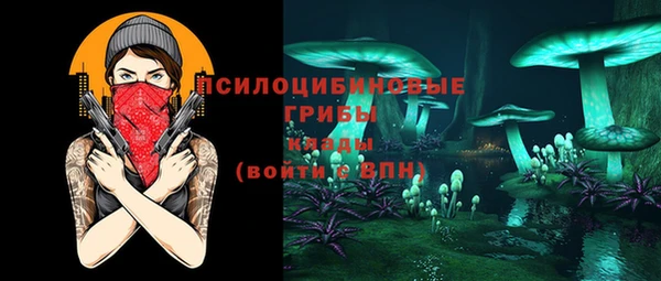 мдпв Нефтегорск