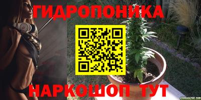 крисы Азнакаево