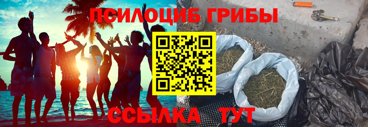 Псилоцибиновые грибы Cubensis Новотроицк
