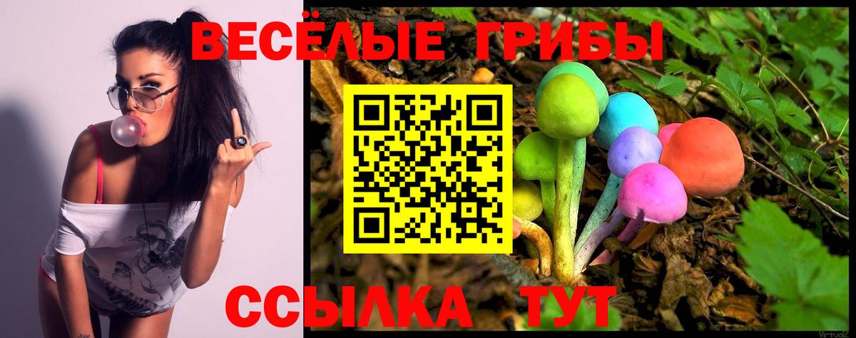 Псилоцибиновые грибы прущие грибы  где купить наркоту  Псилоцибиновые грибы Cubensis  Новотроицк  Вход с VPN 
