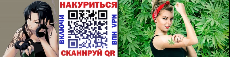 купить закладку  Новотроицк  Бошки марихуана планчик 
